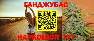 гашик Новокубанск