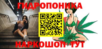 гашик Новокубанск