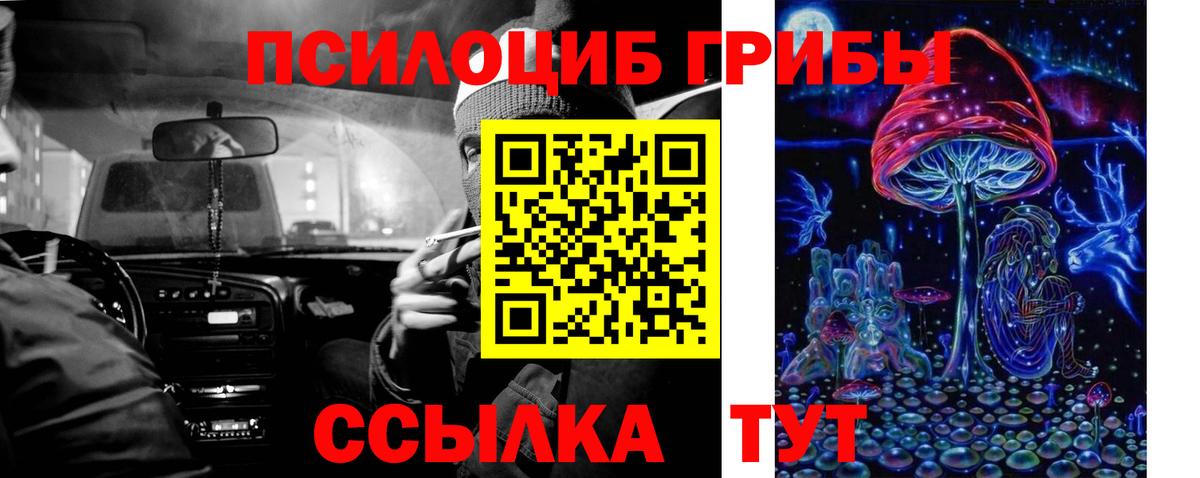 Галлюциногенные грибы Psilocybine cubensis  Галлюциногенные грибы ЛСД  Вход с VPN  Рубцовск 